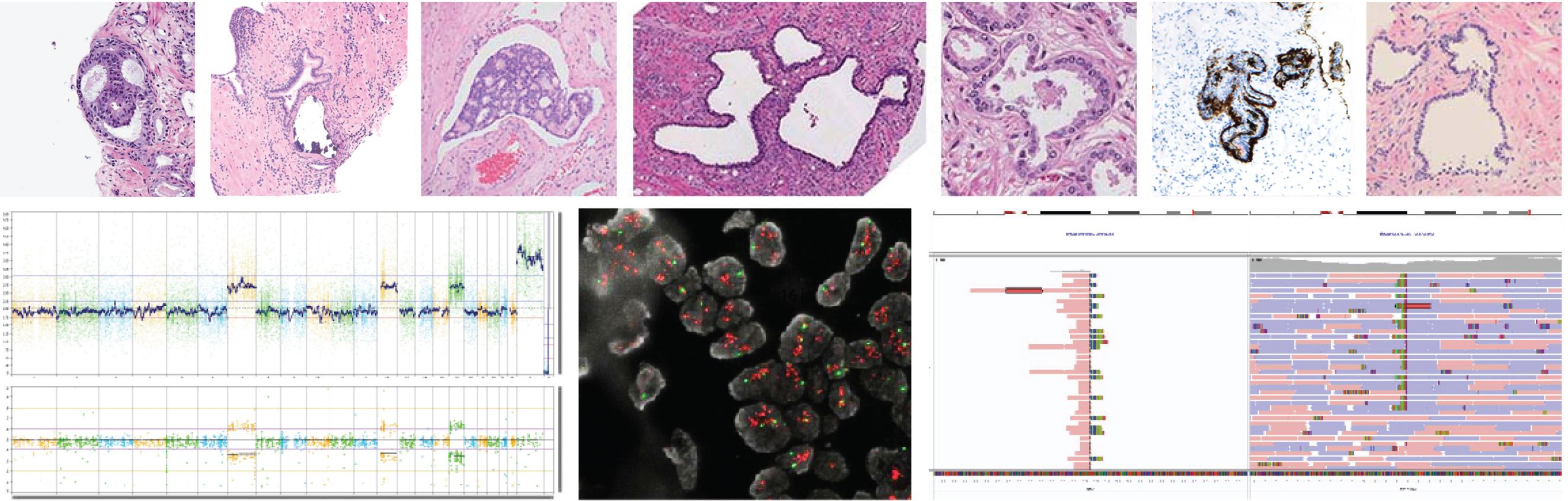 Genitourinary Pathology Header Image