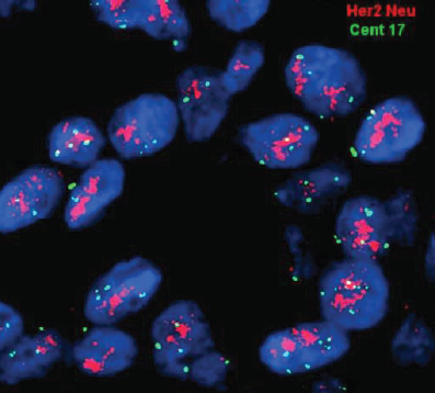 Molecular Genetic Pathology